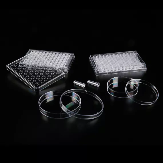injection molds